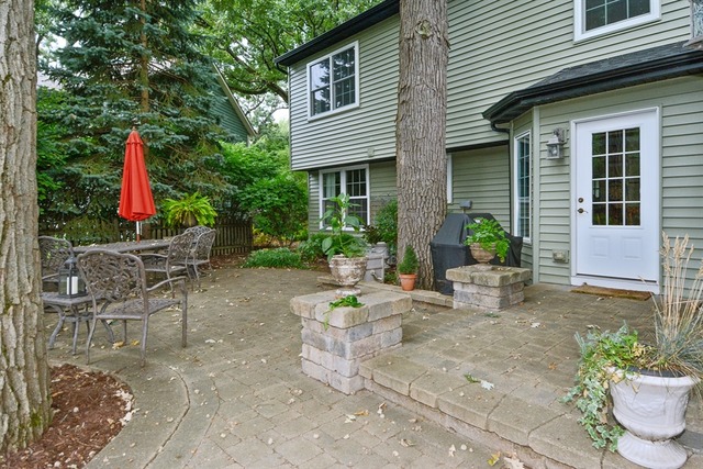 2156 Riverlea Cir, Naperville, IL 60565 photo 22