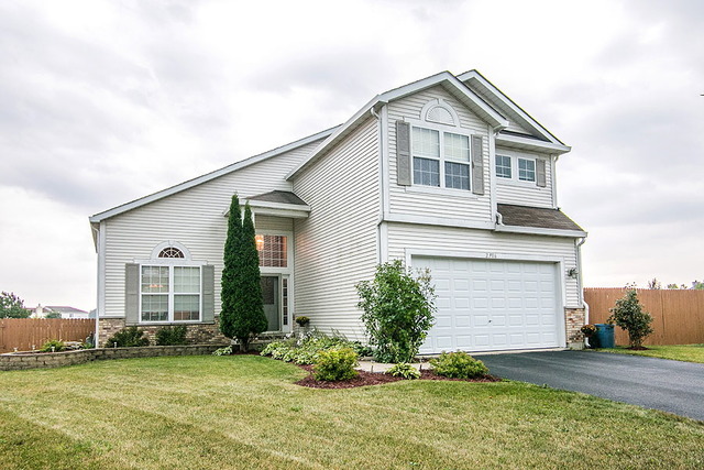 2906 Reflection Ct, Plainfield, IL 60586 photo 1