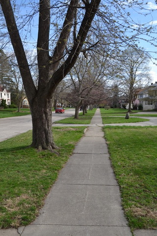 917 S Evergreen Ave, Kankakee, IL 60901 photo 1