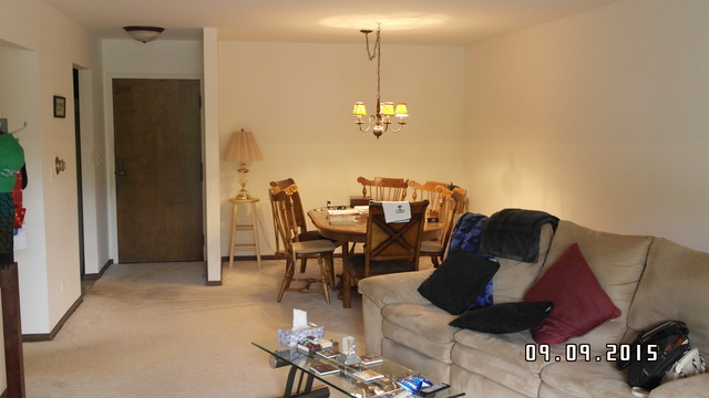263 S Clubhouse Dr #102, Palatine, IL 60074 photo 4