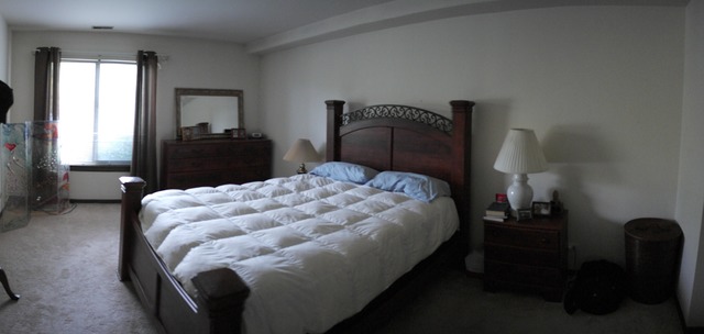 263 S Clubhouse Dr #102, Palatine, IL 60074 photo 6