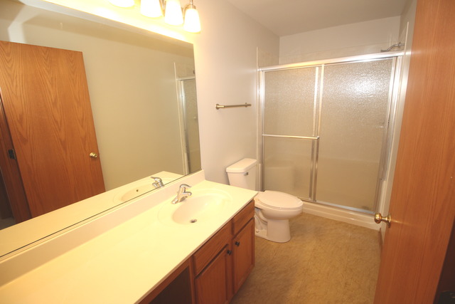 1911 Great Ridge Dr, Plainfield, IL 60586 photo 8