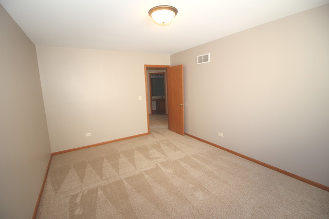 1911 Great Ridge Dr, Plainfield, IL 60586 photo 16