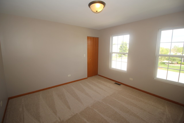 1911 Great Ridge Dr, Plainfield, IL 60586 photo 17