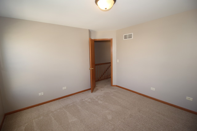 1911 Great Ridge Dr, Plainfield, IL 60586 photo 18