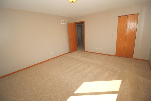 1911 Great Ridge Dr, Plainfield, IL 60586 photo 13