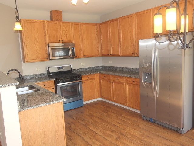 1911 Great Ridge Dr, Plainfield, IL 60586 photo 3