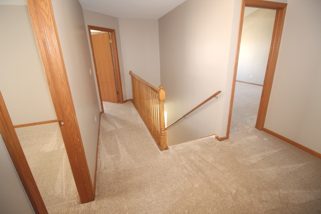 1911 Great Ridge Dr, Plainfield, IL 60586 photo 14