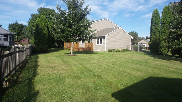 1353 Windsor Ct, Elgin, IL 60120 photo 23