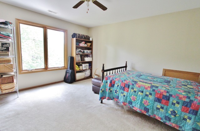 1036 Forest View Dr, Morris, IL 60450 photo 19
