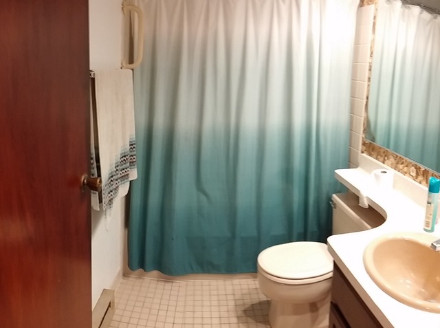 1000 Wright St, La Salle, IL 61301 photo 10