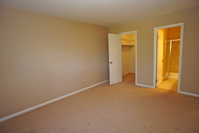 417 Buffalo Trl, Wheeling, IL 60090 photo 13