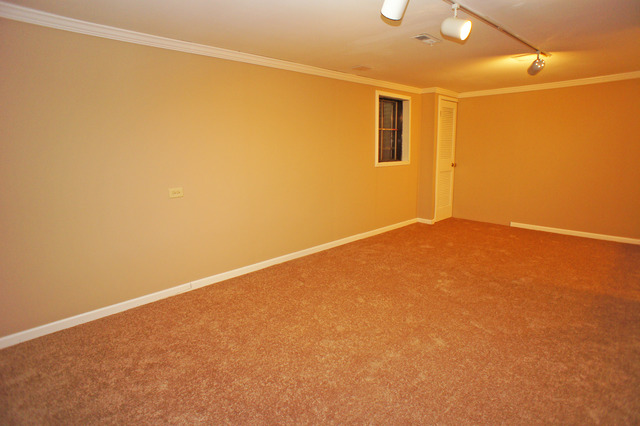 417 Buffalo Trl, Wheeling, IL 60090 photo 20