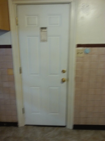 117 E 103rd Pl, Chicago, IL 60628 photo 14