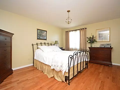23045 Judith Dr, Plainfield, IL 60586 photo 10