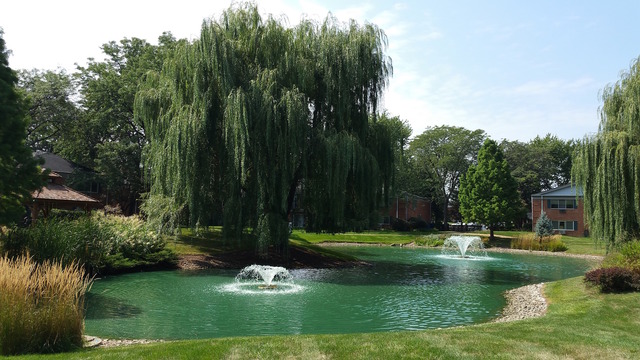 707 E Falcon Dr #c108, Arlington Heights, IL 60005 photo 9