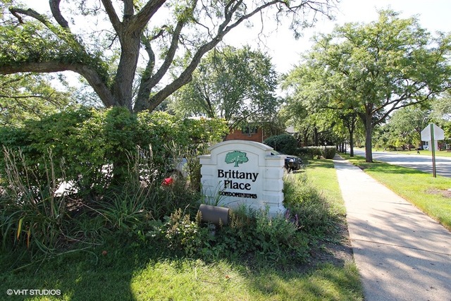 707 E Falcon Dr #c108, Arlington Heights, IL 60005 photo 10