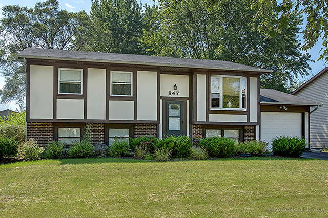 847 Beech Dr, Bolingbrook, IL 60440 photo 1