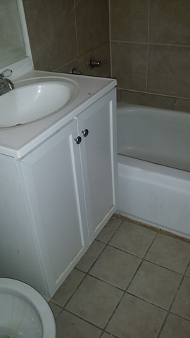 1009 E 90th St, Chicago, IL 60619 photo 3