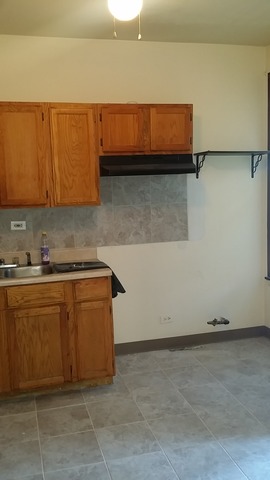1009 E 90th St, Chicago, IL 60619 photo 17