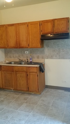 1009 E 90th St, Chicago, IL 60619 photo 13
