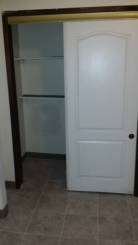 1009 E 90th St, Chicago, IL 60619 photo 12