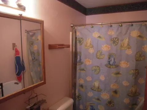 6511 Bazz Dr, Plainfield, IL 60586 photo 6