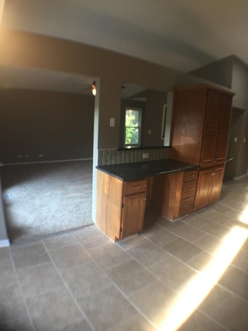 22 Crescent St, Elgin, IL 60123 photo 7