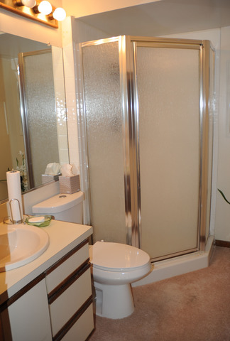 83 Morningside Dr, Roselle, IL 60172 photo 10