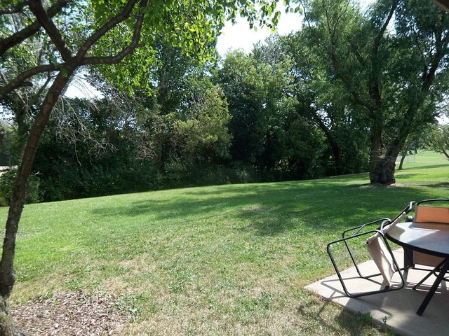 83 Morningside Dr, Roselle, IL 60172 photo 3