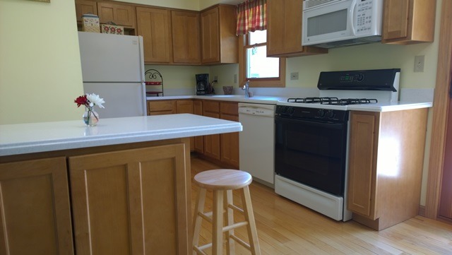 685 W Stearns Rd, Bartlett, IL 60103 photo 18