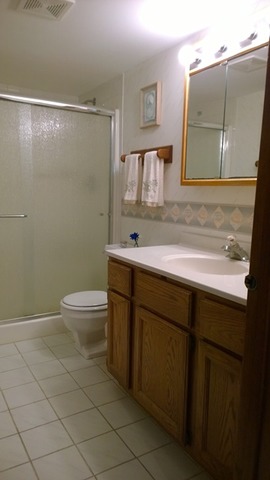 685 W Stearns Rd, Bartlett, IL 60103 photo 23