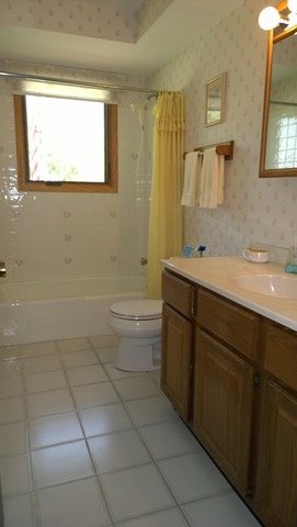 685 W Stearns Rd, Bartlett, IL 60103 photo 14