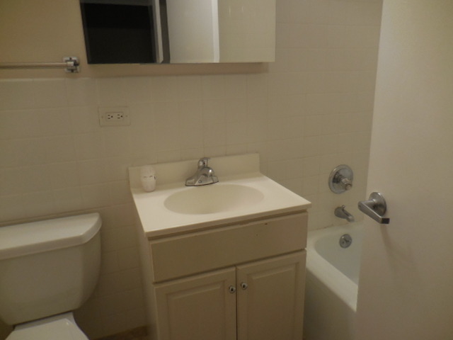 1500 Sandstone Dr #315, Wheeling, IL 60090 photo 11