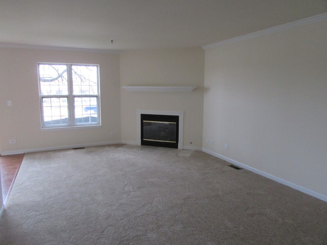 5 S525 Scots Dr #e, Naperville, IL 60563 photo 2