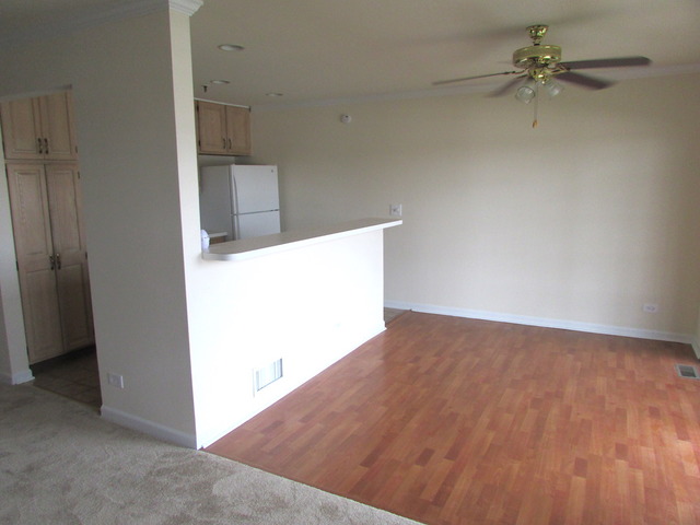5 S525 Scots Dr #e, Naperville, IL 60563 photo 9