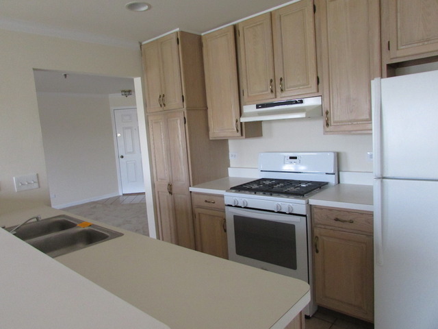 5 S525 Scots Dr #e, Naperville, IL 60563 photo 6