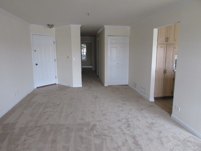 5 S525 Scots Dr #e, Naperville, IL 60563 photo 3