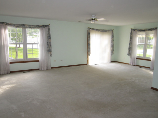 13311 Red Cedar Ln, Plainfield, IL 60544 photo 8