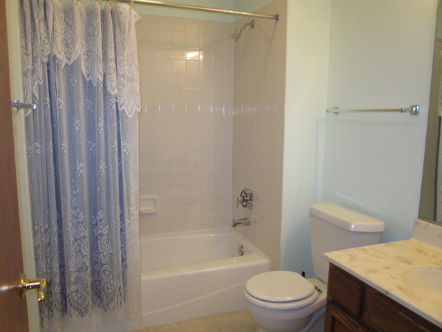 13311 Red Cedar Ln, Plainfield, IL 60544 photo 19