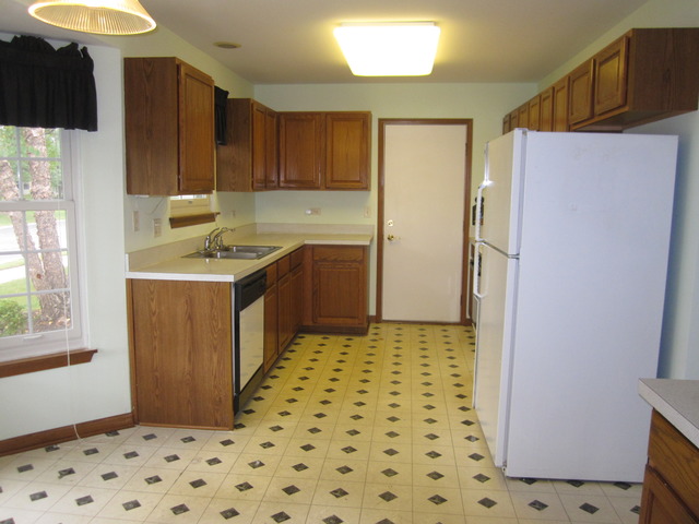 13311 Red Cedar Ln, Plainfield, IL 60544 photo 4