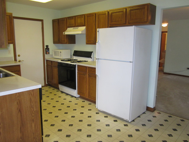 13311 Red Cedar Ln, Plainfield, IL 60544 photo 5