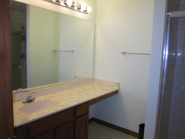 13311 Red Cedar Ln, Plainfield, IL 60544 photo 17