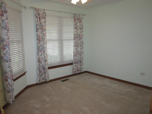 13311 Red Cedar Ln, Plainfield, IL 60544 photo 18