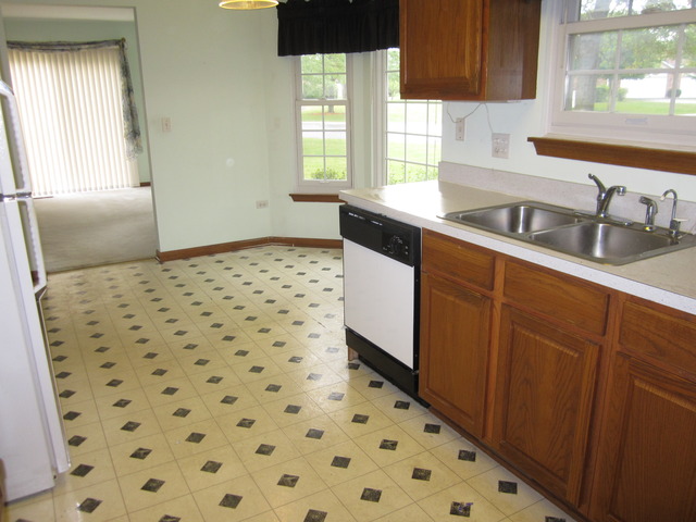 13311 Red Cedar Ln, Plainfield, IL 60544 photo 6