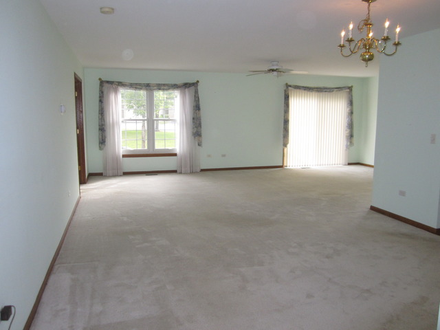13311 Red Cedar Ln, Plainfield, IL 60544 photo 9
