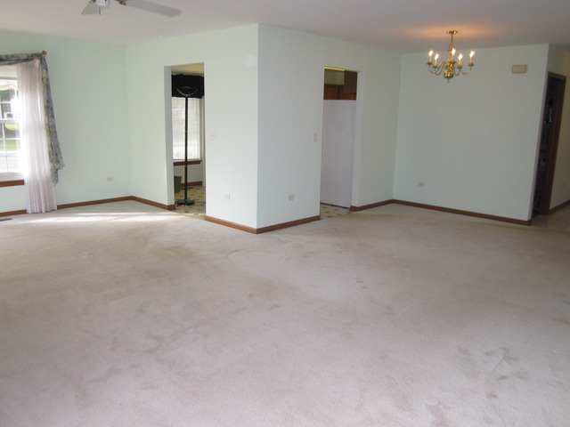 13311 Red Cedar Ln, Plainfield, IL 60544 photo 12