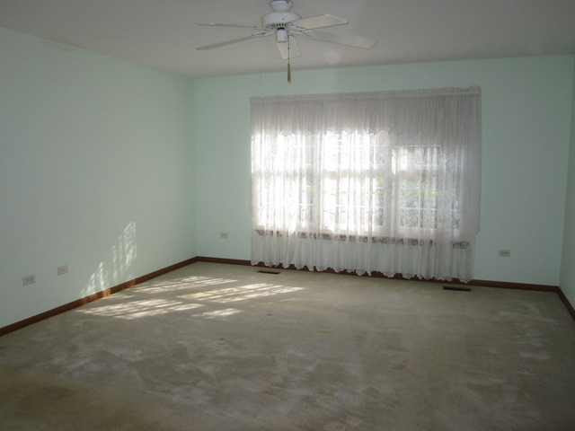 13311 Red Cedar Ln, Plainfield, IL 60544 photo 13