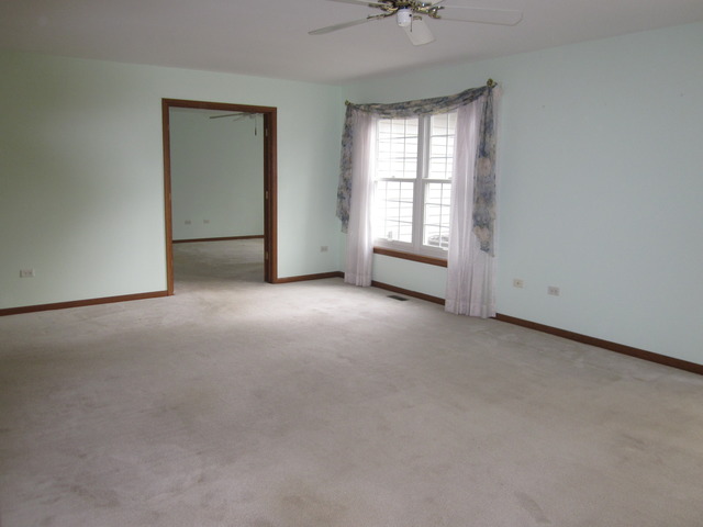 13311 Red Cedar Ln, Plainfield, IL 60544 photo 11