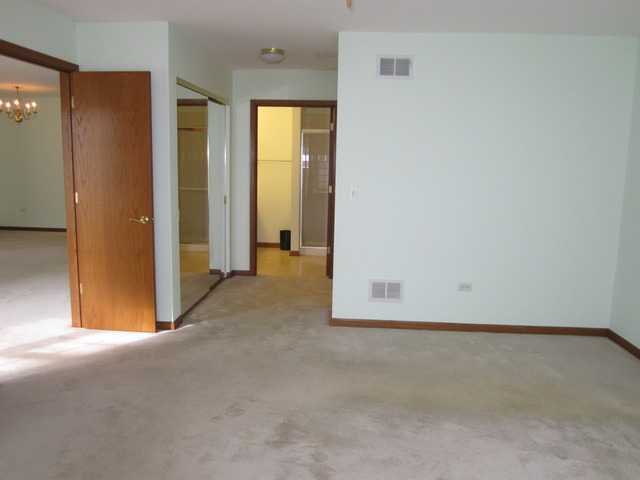 13311 Red Cedar Ln, Plainfield, IL 60544 photo 14
